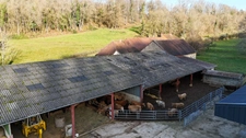 EXCUSIF RARE PROPRIETE AGRICOLE 