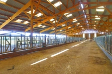 EXCLUSIF Propriete agricole avec 7 hectares possible 70 hectares en location