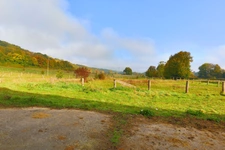 HARAS dans Yonne 
