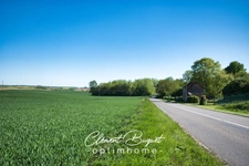 🌳 Propriété de charme rare avec bois, dépendances et 220 m² habitables – À l’abri des voisins à Becquigny 🏡✨