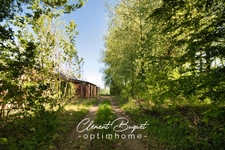 🌳 Propriété de charme rare avec bois, dépendances et 220 m² habitables – À l’abri des voisins à Becquigny 🏡✨
