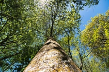 🌳 Propriété de charme rare avec bois, dépendances et 220 m² habitables – À l’abri des voisins à Becquigny 🏡✨