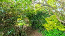 Maison à vendre 7 pièces QUIMPER (29)