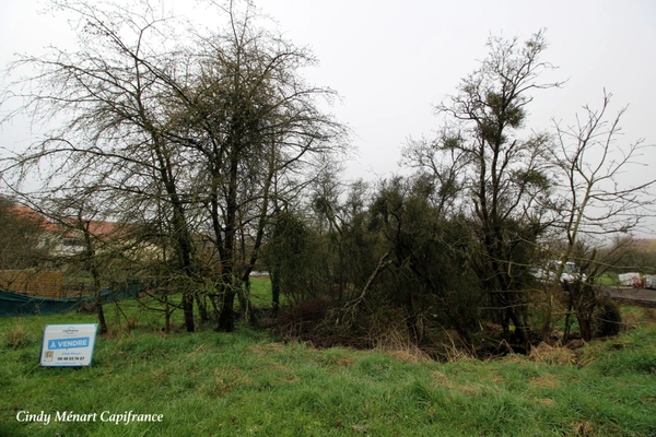 Terrain à vendre  LELLING (57), 867m2