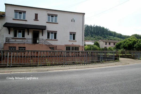 Maison à vendre 5 pièces DALEM (57), garage, sous sol et jardin 