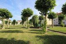 Dpt Moselle (57), à vendre BOUZONVILLE immeuble de rapport - Terrain de 902,00 m² 