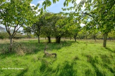 Dpt Moselle (57), à vendre BOULAY MOSELLE maison P7 de 122,86 m² - Terrain de 4 847,00 m² 