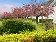 🏡 Appartement T3 avec terrasse plein sud – Garage - Rennes Est / Sud-Est - La Pommeraie 