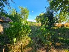 Maison bourbonnaise à rénover à Saint-Hilaire (03) – Grand terrain de 1,5 hectare