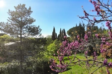 Maison familiale au cœur de la nature, potentiel unique à exploiter à 30 Min de Montpellier et Béziers