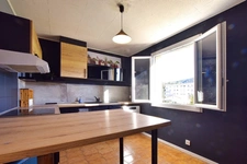 Grande demeure avec jardin et garage