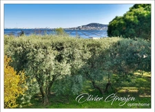 Bouzigues – Vue exceptionnelle sur le Mont Saint-Clair