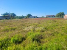 Dpt Gironde (33), à vendre CISSAC MEDOC terrain de 970 m2