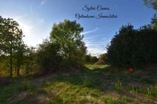 Terrain à vendre de 1 300,00 m² SAINT PAL DE MONS (43)