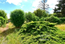 Maison à vendre 5 pièces CHAZEY SUR AIN (01)154 m² habitables et terrain clos, plat et arboré