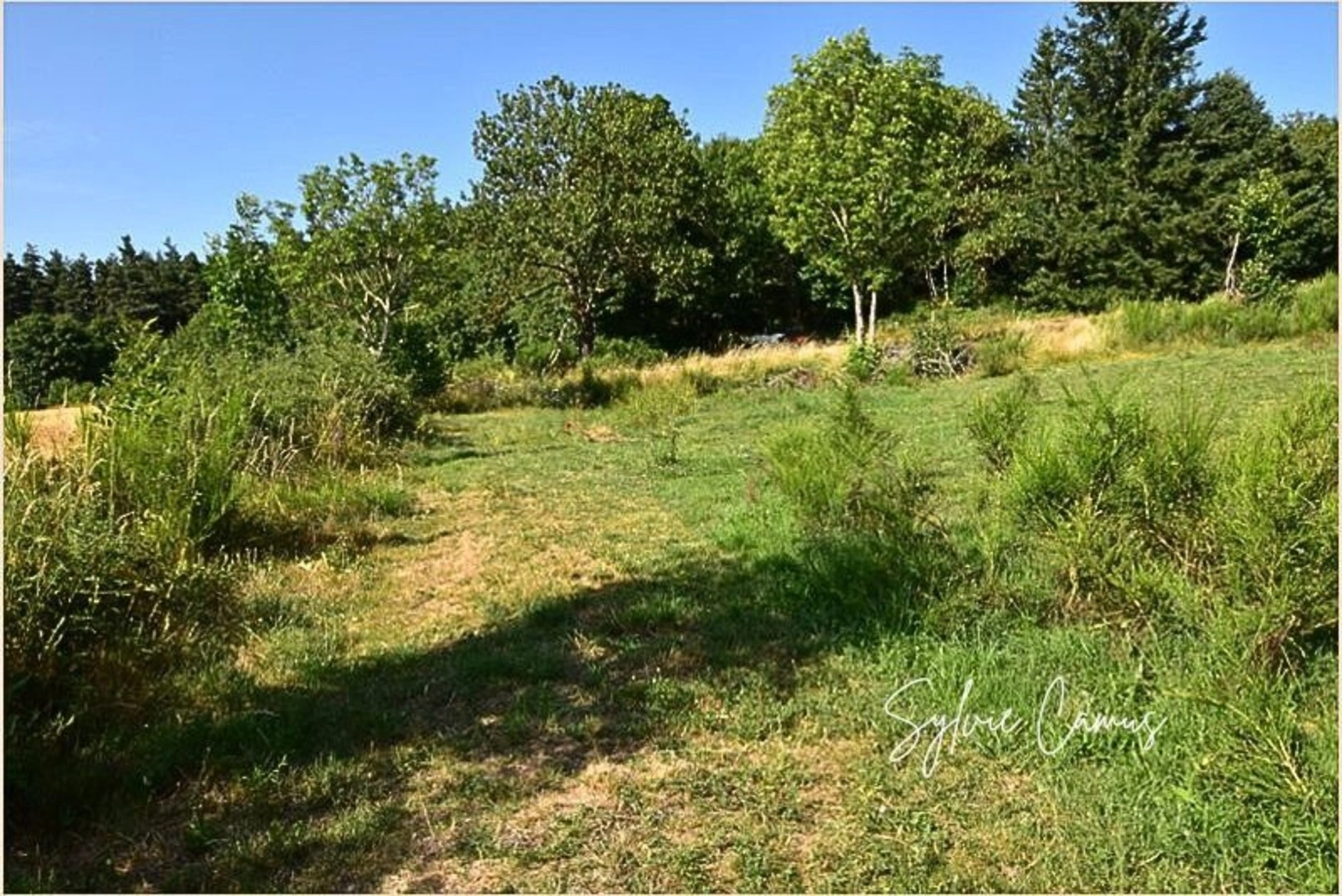 Terrain à vendre de 1 300,00 m² SAINT PAL DE MONS (43) · 48 000 €