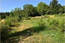 Terrain à vendre de 1 300,00 m² SAINT PAL DE MONS (43)