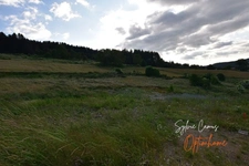 Terrain à vendre de 911,00 m² DUNIERES (43), viabilisé et idéalement situé,Vue dégagée – Cadre paisible – Proche commodités