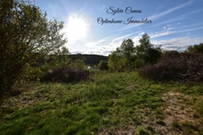 Terrain à vendre de 1 300,00 m² SAINT PAL DE MONS (43)