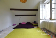 Maison de caractère de  233 m², idéale famille + espace professionnel possible à Sainte-Sigolène