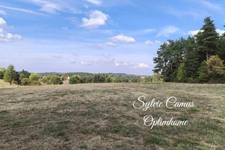 🌿 TERRAIN AGRICOLE À VENDRE – SECTEUR LE FIALOU – SAINTE-SIGOLÈNE