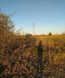 Terrain agricole / de loisirs 1 995 m² à SAINT HIPPOLYTE (66510)