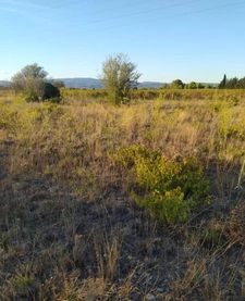Terrain agricole / de loisirs 1 995 m² à SAINT HIPPOLYTE (66510)