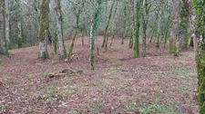 Terrain à vendre de 1 255,00 m² BALADOU (46)
