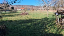 Maison à vendre 7 pièces CAZOULES (24)