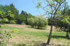 Terrain à vendre de 7 149,00 m² BRIVE LA GAILLARDE (19)