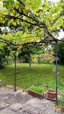 House for sale, 5 rooms, CUVANCE (46)