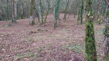 Terrain à vendre de 1 255,00 m² BALADOU (46)