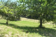 Terrain à vendre de 7 149,00 m² BRIVE LA GAILLARDE (19)