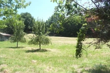 Terrain à vendre de 7 149,00 m² BRIVE LA GAILLARDE (19)