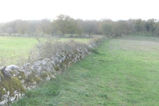 Dpt Lot (46), for sale near MARTEL P4 house of 115 m² - Land of 15,975.00 m² 