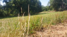 Terrain à vendre de 819,00 m² MASCLAT (46)