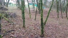 Terrain à vendre de 1 255,00 m² BALADOU (46)