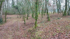 Terrain à vendre de 1 255,00 m² BALADOU (46)