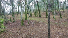 Terrain à vendre de 1 255,00 m² BALADOU (46)