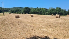 Terrain à vendre de 1 800,00 m² LANZAC (46)