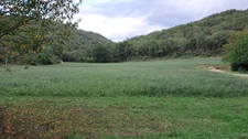 Ensemble de deux maisons à vendre 7 pièces proche Martel (46)