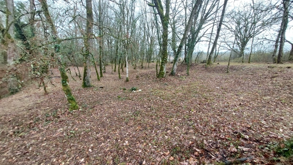 Terrain à vendre de 1 255,00 m² BALADOU (46)