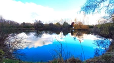 Terrain de 4 445,00 m²  avec étang à MEZIERES SUR OISE (02)