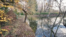Terrain de 4 445,00 m²  avec étang à MEZIERES SUR OISE (02)