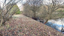 Terrain de 4 445,00 m²  avec étang à MEZIERES SUR OISE (02)