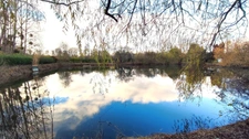 Terrain de 4 445,00 m²  avec étang à MEZIERES SUR OISE (02)