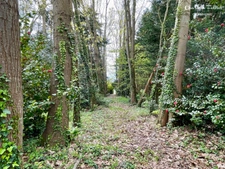 Maison en pierre avec parc arboré de plus de 12 000 m² - Minihic-sur-Rance