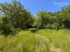 Le Minihic sur Rance - Maison de Maître 188 m2 