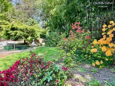 Maison en pierre avec parc arboré de plus de 12 000 m² - Minihic-sur-Rance
