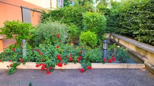 CHARTRES QUARTIER GRAND FAUBOURG - APPARTEMENT T3 - TERRASSE ET JARDIN